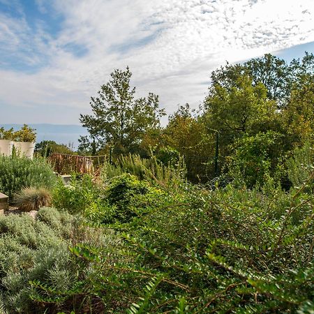 Villa Luce Labin  Exterior photo